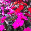 장진천길 이미지