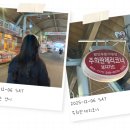 주희란제리