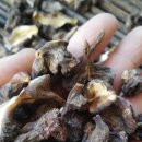 노내골농장 이미지