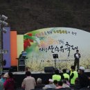 경북 의성 산수유꽃축제를 다녀와서....... 이미지