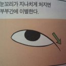 눈~허영만 꼴 이미지