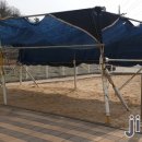 감고을행복어린이집 이미지