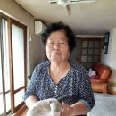 풍세면행정복지센터 이미지