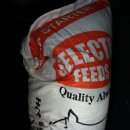 한일장신대학교 사회복지대학원 이미지