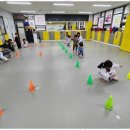 멘토 태권도 이미지