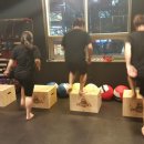 녹번복싱 이미지