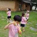 일신초병설유치원 이미지