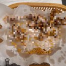 맘스터치(평촌역사거리점) 이미지