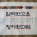 다포 이미지
