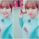 미미랩