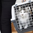 동현농장2 이미지