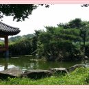 안성마을 정자앞 이미지