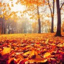 PTC태권도 이미지