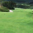 파인스크린골프 이미지