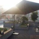 "그 해 봄" 솔로들의 커플 예감 봄 모임에 여러분을 초대합니다^^(5/5-금) 이미지