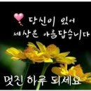 통일실천 축제 한마당 🦋희망가🦋가수 조미경#2019년8월15일# 이미지