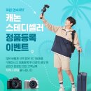 스테디