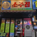 [오늘도소주집 동탄역점] 실내 포차 분위기가 낭낭한 소주 맛집🍺 내돈내산 후기