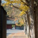 고운기획