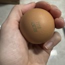 법인청년농업