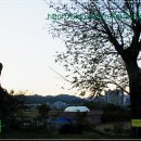 귀족호도박물관 이미지