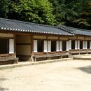 비원