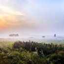 소래습지생태공원 이미지