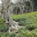 남해-129 이미지