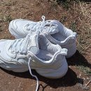 새신처럼 이미지