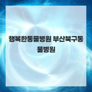 행복한동물병원 네이버블로그