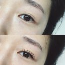 한독강남뷰티지점 | [신논현속눈썹] 왕빠르고 왕편하게 예뻐지는 '멜로즈뷰티 강남' LED연장 후기🦚