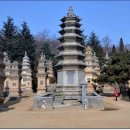 망우산 Daum카페