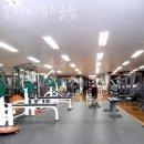 돌고래헬스클럽 네이버블로그