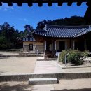 신관호 | [조선 선비의 유언 시리즈 4화] ‘붓이 노래하고 먹이 춤추는’ 삶을 산 추사 김정희