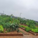 선학텃밭화장실 이미지