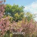 더 벙커 이미지