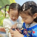 베이비캐슬어린이집 이미지