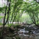 삼정야영장 화장실 | [캠핑장소개]합천삼정야영장