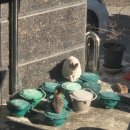 3공단2로2R-11 | ​[경험기록] 소상공인시장진흥공단 공기업 사무보조 아르바이트 후기