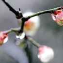 양우당 민박 네이버블로그