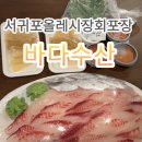 서귀포 올레시장 회포장 추천 바다수산 자연산 할어회 솔직후기