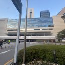 커피빈삼성봉은사거리