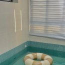 스테이결 이미지