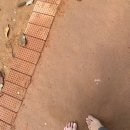 인덕가족한의원 | 2023.10.29-11.04 주간일기 (옷 쇼핑지옥, 파워포인트 글꼴 추가, 동네한바퀴)