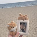 데이식스 전국 투어 부산 후기