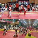 대성체육관 (태권도) 이미지