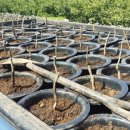 정환3농장 이미지