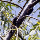 마당이수목원 이미지