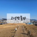 통영 가는 길에 들러본 유네스코 세계문화유산 가야고분군 송학동고분군과 고성박물관!
