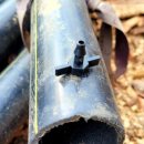 대각농장 이미지